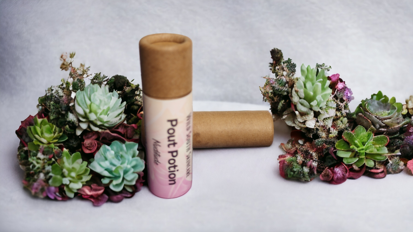 Pout Potion Tinted Lip Balm